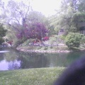 the serenity garden